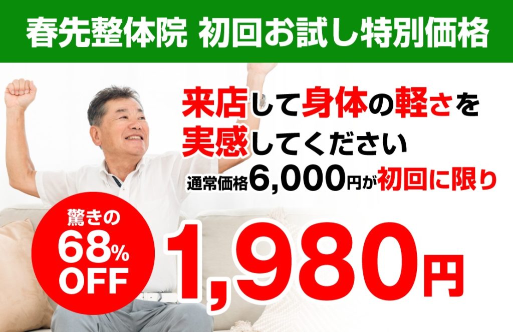 初回お試し特別価格